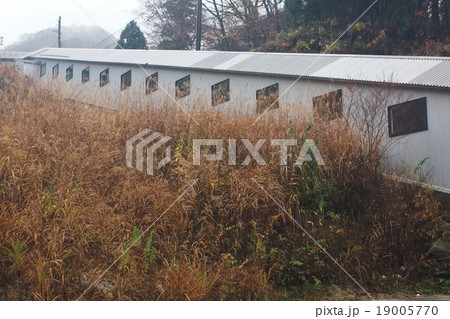 イブキヤマ リフト駅 イブキヤマ リフト駅 19005770
