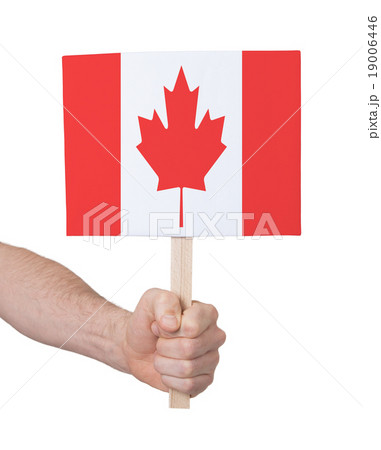 Hand holding small card - Flag of Canada 19006446