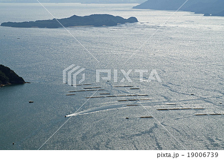 広島湾の牡蠣筏と小島 広島湾の牡蠣筏と小島 19006739