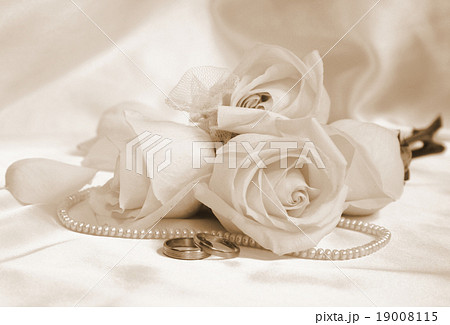 Wedding rings and roses as wedding background Wedding rings and roses as wedding background 19008115