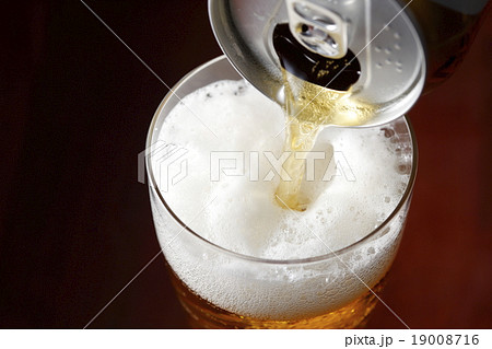 ビール ビール 19008716