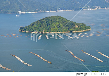 広島湾の峠島と牡蠣筏 広島湾の峠島と牡蠣筏 19009145
