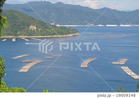 広島湾の牡蠣筏 19009148
