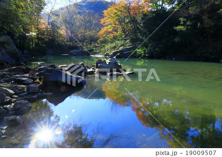 嵐山渓谷の紅葉 嵐山渓谷の紅葉 19009507