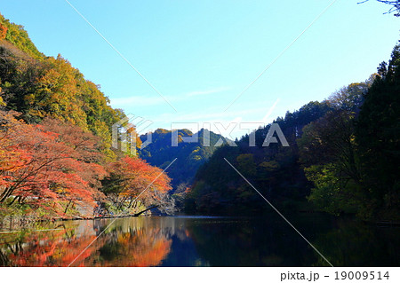 鎌北湖の紅葉 19009514