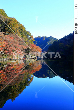 鎌北湖の紅葉 19009515