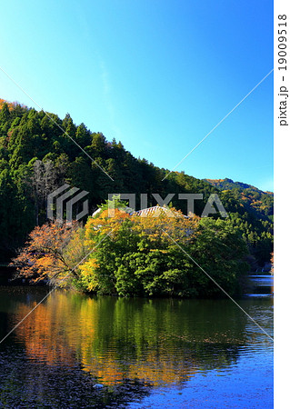 鎌北湖の紅葉 19009518