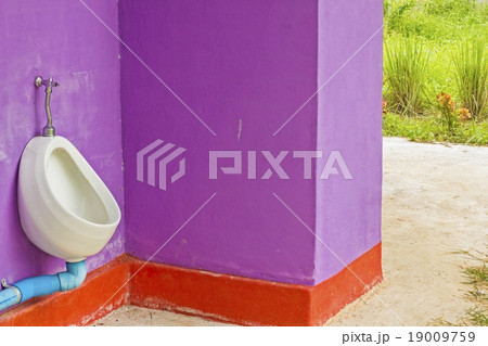 White ceramic sanitary ware in a colorful restroom 19009759