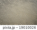 sand wave texture 19010026