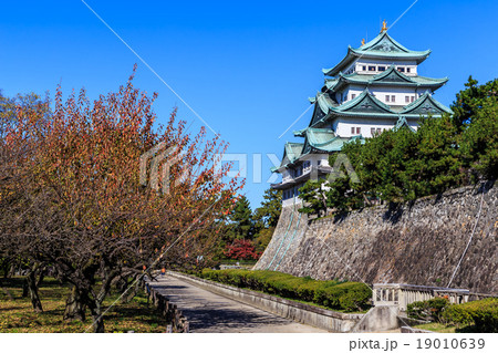 晩秋の名古屋城 晩秋の名古屋城 19010639