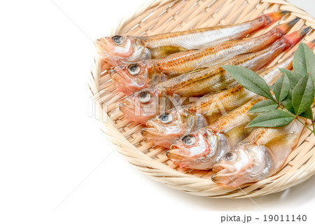 ハタハタの一夜干し 19011140