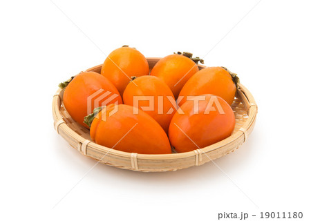 筆柿 筆柿 19011180