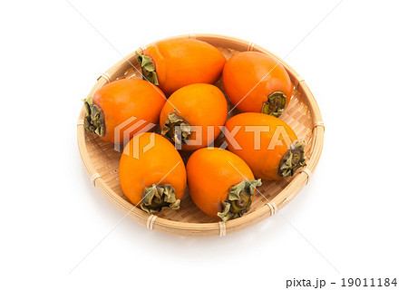 筆柿 筆柿 19011184