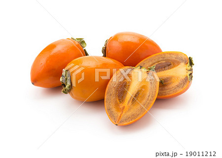 カットした筆柿 カットした筆柿 19011212