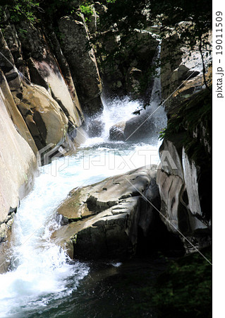 面河渓 19011509