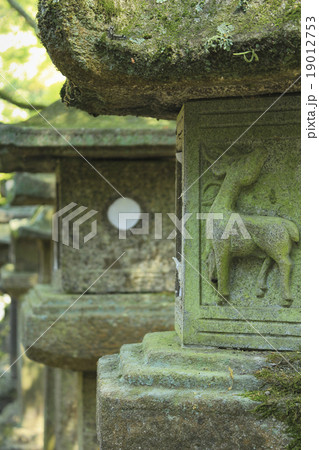 奈良 春日大社参道の石灯籠 鹿の浮彫入り の写真素材