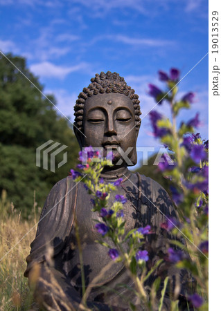 Buddha meditating outdoor on a meadow 19013529