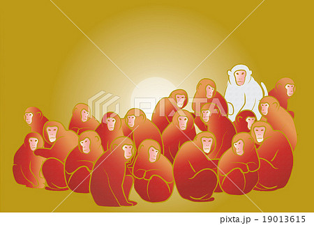 猿群れ金文字無 猿群れ金文字無 19013615