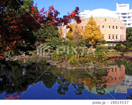 旧安田公園（東京・墨田区）の紅葉 19014537