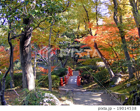 旧安田公園（東京・墨田区）の紅葉 19014538