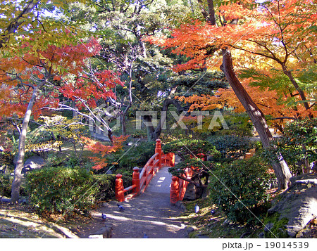 旧安田公園（東京・墨田区）の紅葉 19014539