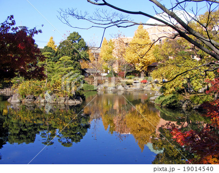 旧安田公園（東京・墨田区）の紅葉 19014540