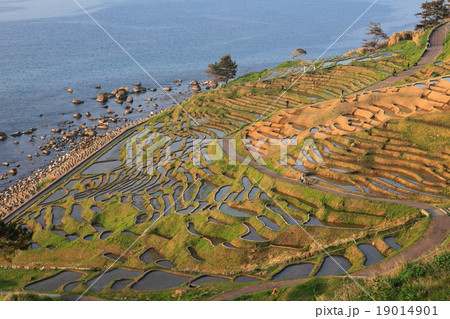 白米千枚田展望 19014901