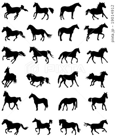 Big set of horses silhouettes Big set of horses silhouettes 19014912