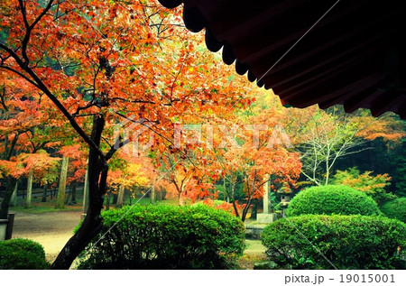 岩国紅葉谷公園六角亭 19015001