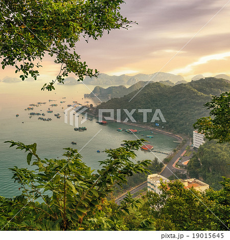 Cat Ba island colourful boats 19015645