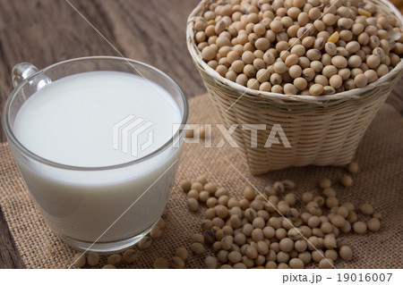 soy bean and soy milk 19016007