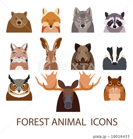 Forest animal flat icons 19016435