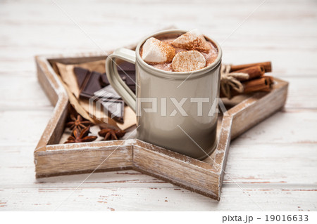 Cocoa drink with marshmallows 19016633