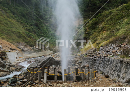 地獄谷温泉の間欠泉 地獄谷温泉の間欠泉 19016993