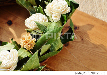 ローリエのリース ローリエのリース 19017926