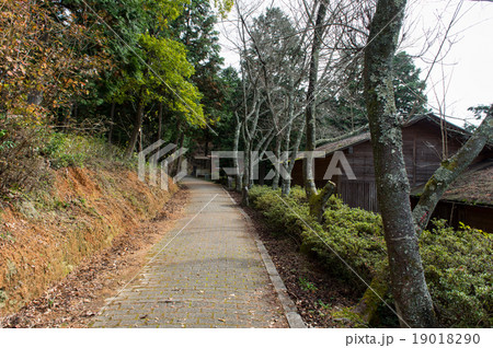 最上山公園の沿道 (兵庫県宍粟市) 最上山公園の沿道 (兵庫県宍粟市) 19018290
