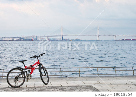 自転車 19018554