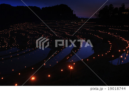 大山千枚田の夜祭 大山千枚田の夜祭 19018744