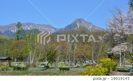 八ヶ岳の展望 - 八ヶ岳自然文化園から 八ヶ岳の展望 - 八ヶ岳自然文化園から 19019145