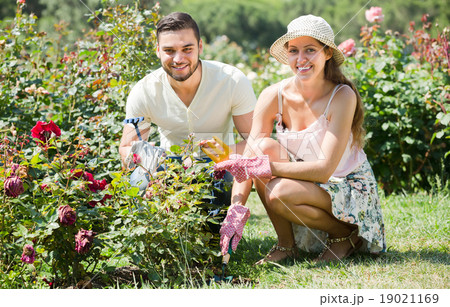 Young couple gardening together . Young couple gardening together . 19021169