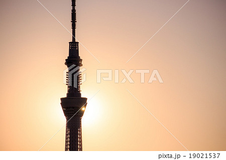 夕日が重なって シルエットになった東京スカイツリーの写真素材