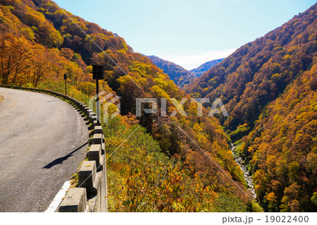 紅葉の有峰林道 19022400