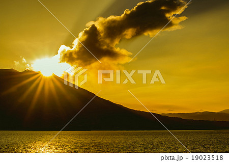 黄金色の光芒 19023518