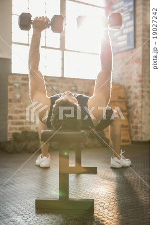 Muscular man lifting dumbbells lying on bench 19027242