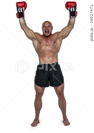Portrait of winning boxer with arms raised 19027471
