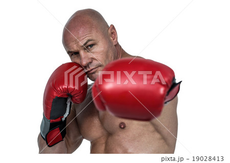 Portrait of boxer with fighting stance 19028413