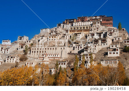 Thikse Monastery 19028458
