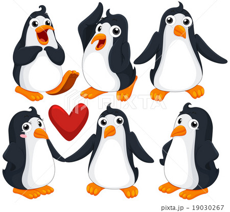 Cute penguins in different poses 19030267