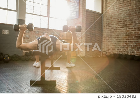 Muscular man lifting dumbbells while lying on bench 19030482