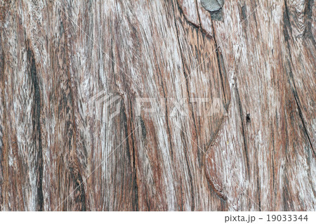 Old wood blackground texture - vintage 19033344